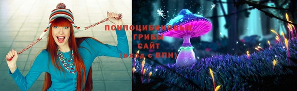 MDMA Богородск