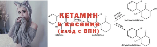 соль курить ск Бородино