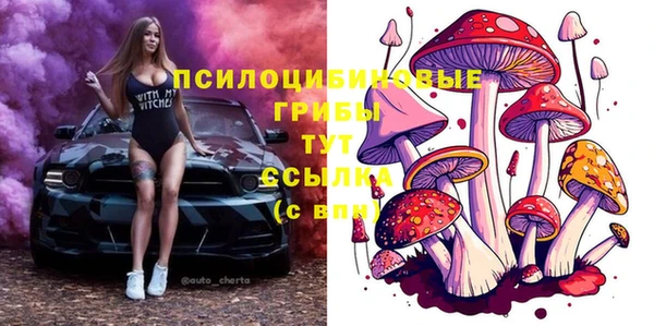таблы Бронницы
