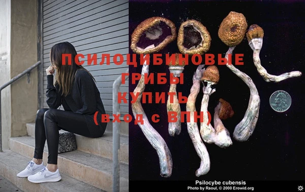 MDMA Богородск