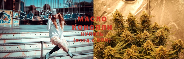 соль ск Богородицк