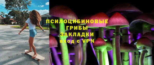 соль ск Богородицк