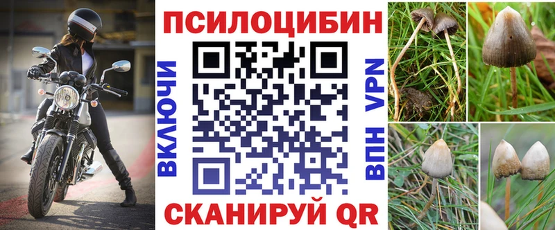 Галлюциногенные грибы Cubensis KRAKEN зеркало Чекалин